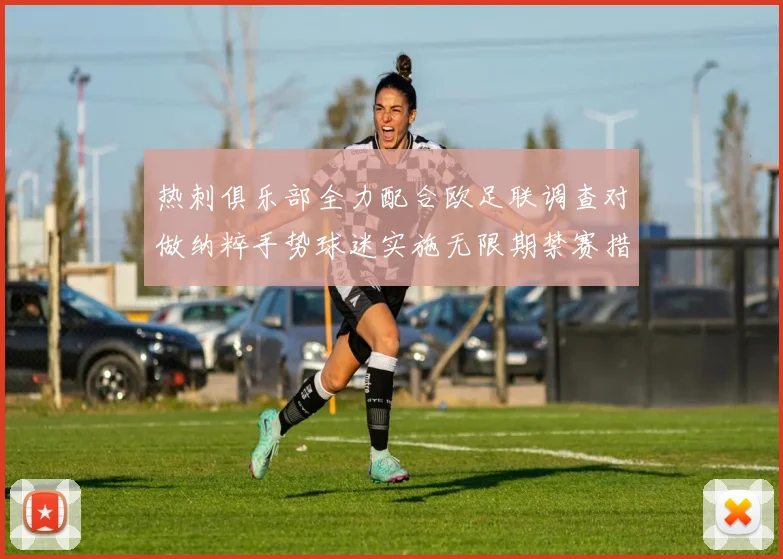 热刺俱乐部全力配合欧足联调查对做纳粹手势球迷实施无限期禁赛措施